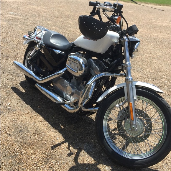 Meet your Posher, Jessie - Picture 6 of 6